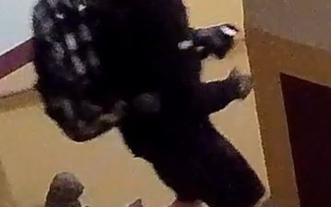 LPI-J: Öffentlichkeitsfahndung nach Diebstahl aus Hostel - Foto: presseportal.de