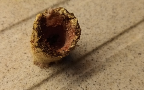 POL-GF: Giftköder auf Grundstück - Foto: presseportal.de