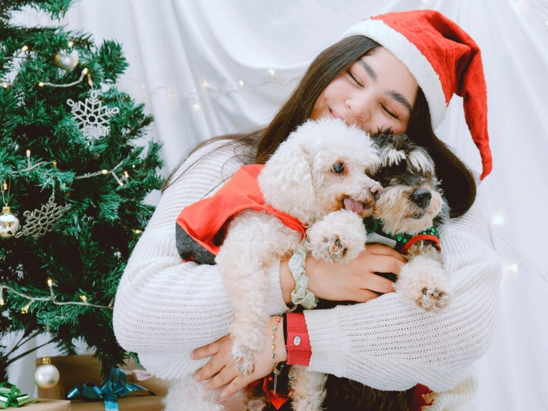 Weenect-Studie: Drei von vier Tierhaltern schenken ihrer Fellnase etwas zu Weihnachten / Inkl. 5 Tipps für besseres Schenken - Foto: presseportal.de