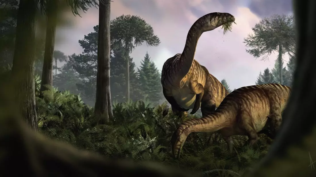 Anhand von versteinertem Kot, Erbrochenem und Darminhalten haben Fachleute die frühe Entwicklung der Dinosaurier rekonstruiert. - Bild: Marcin Ambrozik/dpa