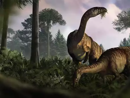 Anhand von versteinertem Kot, Erbrochenem und Darminhalten haben Fachleute die frühe Entwicklung der Dinosaurier rekonstruiert. - Foto: Marcin Ambrozik/dpa