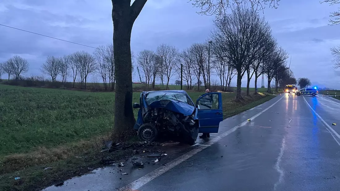 POL-PB: Nach Frontalaufprall gegen Straßenbaum schwer verletzt - Bild: presseportal.de
