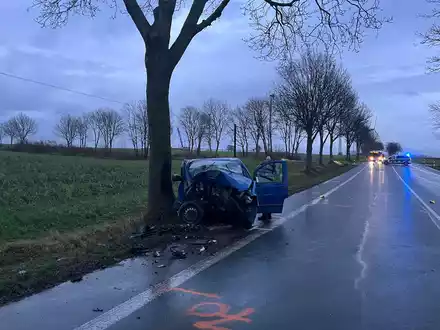 POL-PB: Nach Frontalaufprall gegen Straßenbaum schwer verletzt - Foto: presseportal.de