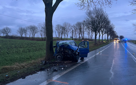 POL-PB: Nach Frontalaufprall gegen Straßenbaum schwer verletzt - Foto: presseportal.de
