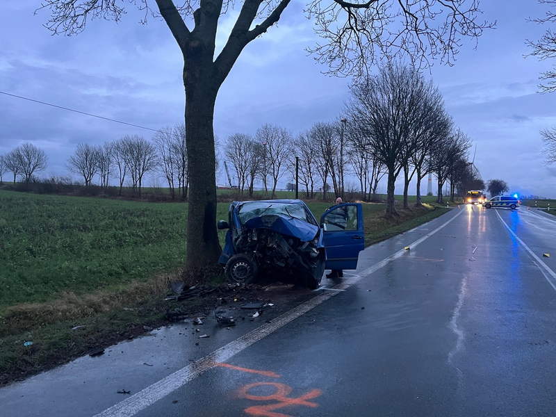 POL-PB: Nach Frontalaufprall gegen Straßenbaum schwer verletzt - Foto: presseportal.de