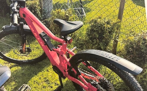 POL-PDWIL: Diebstahl eines Fahrrads aus Gartenhaus - Foto: presseportal.de