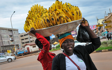 In einigen Ländern birgt die tägliche Einnahme schützender Tabletten das Risiko, im Umfeld als vermeintlich HIV-positiv abgestempelt zu werden. (Archivbild) - Foto: Ronald Kabuubi/AP/dpa