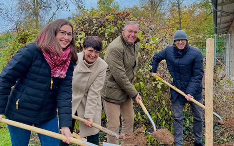 Ein Zukunftsbaum für Landau: MdEP Christine Schneider pflanzt Rot-Eiche im Savoyenpark in Landau - Foto: presseportal.de