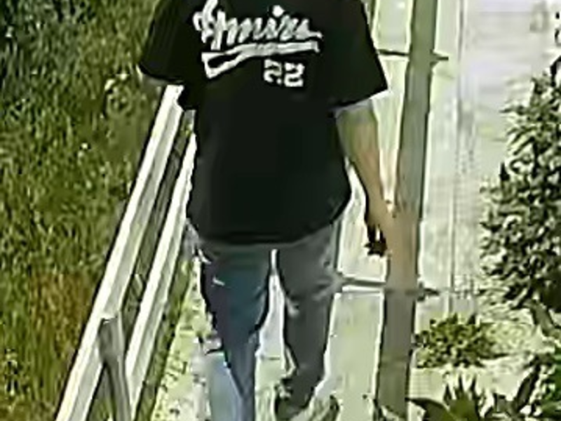 LPI-NDH: Ergänzungsmeldung: Bundesweite Öffentlichkeitsfahndung: Nach umfangreichen Ermittlungen zu einer illegal betriebenen Cannabisplantage - Wer erkennt die abgebildeten Personen? - Foto: presseportal.de