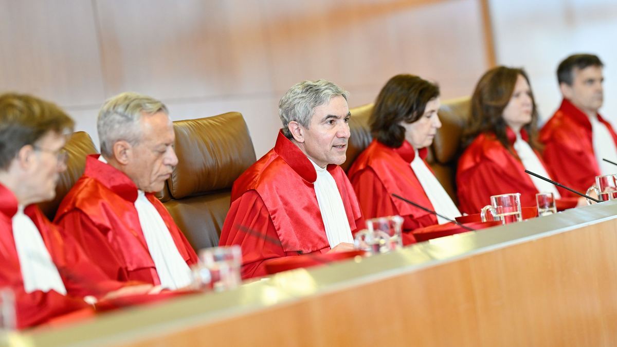 Der Erste Senat nahm die Strompreisbremse unter die Lupe. - Foto: Uwe Anspach/dpa