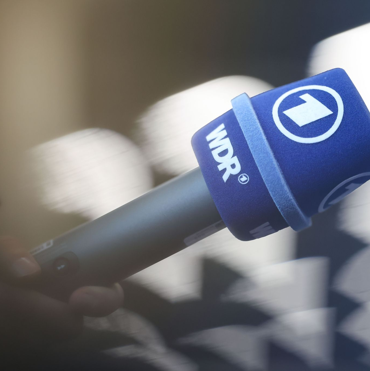 Nach Ausweisung von zwei ARD-Beschäftigten: Russischer Botschafter einbestellt (Illustration).  - Foto: Daniel Löb/dpa