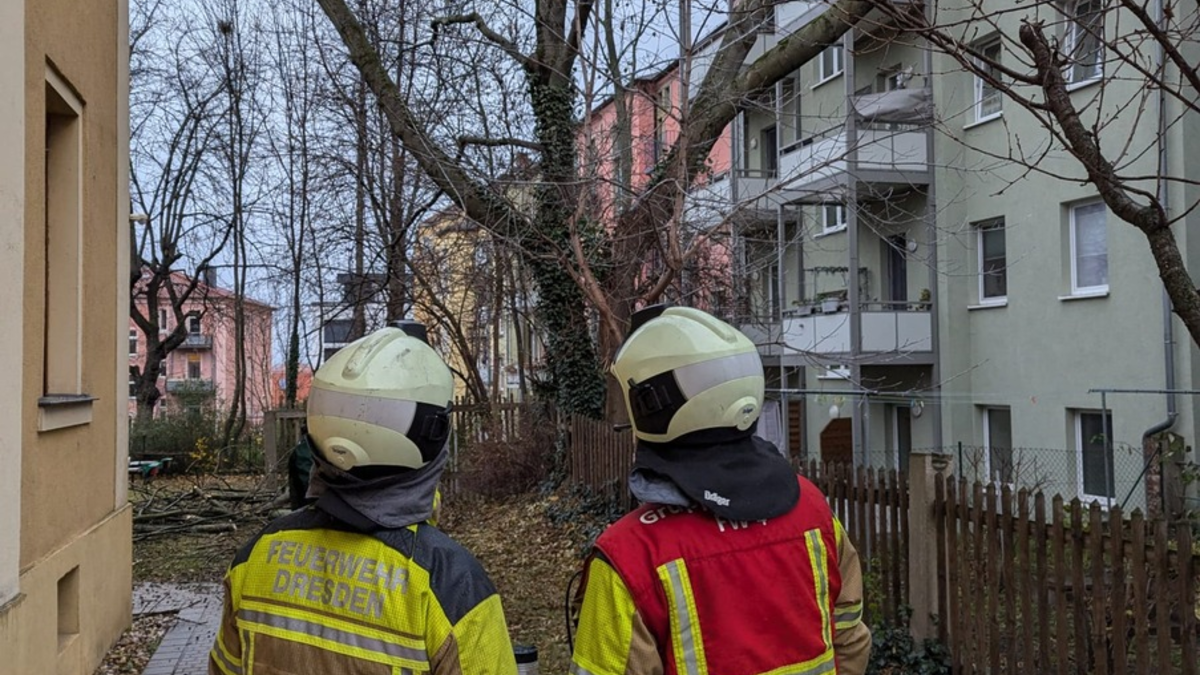 FW Dresden: Sturmtief über Dresden - mehrere Feuerwehreinsätze - Foto: presseportal.de