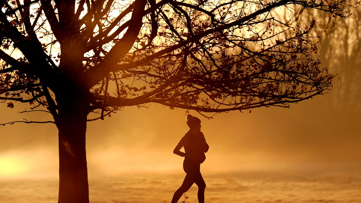 Auch die Herbstmonate 2024 waren laut ersten Prognosen zu warm (Foto aktuell). - Foto: Joe Giddens/PA Wire/dpa