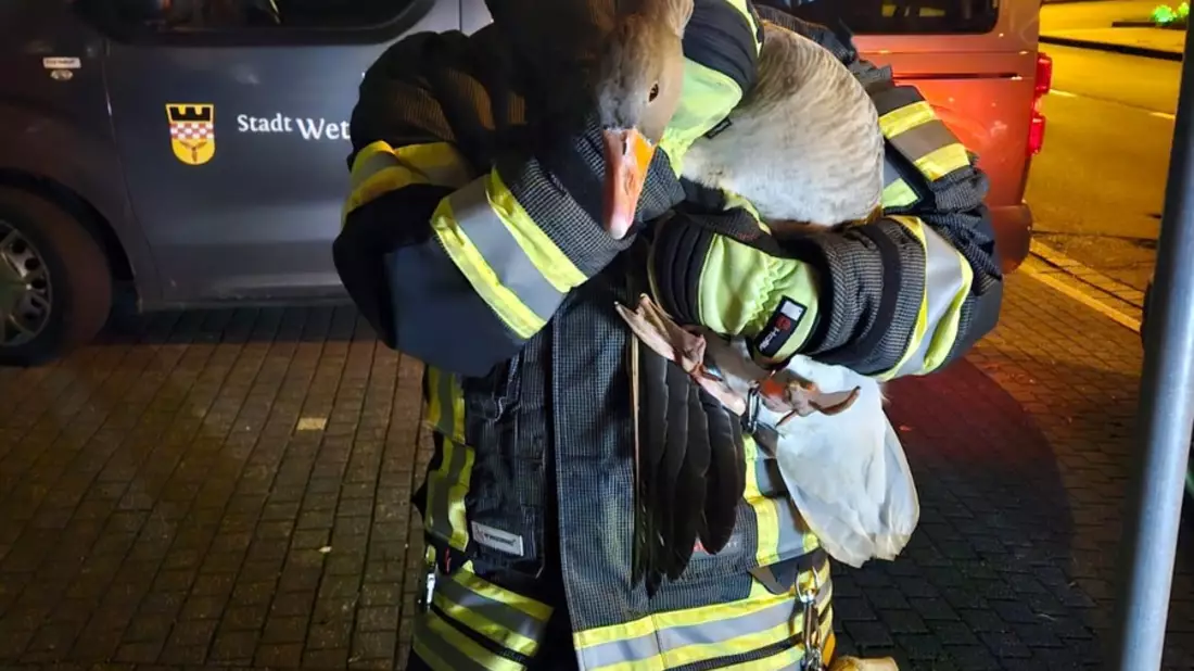 FW-EN: Wetter - zwei Einsätze am Freitagabend - Bild: presseportal.de