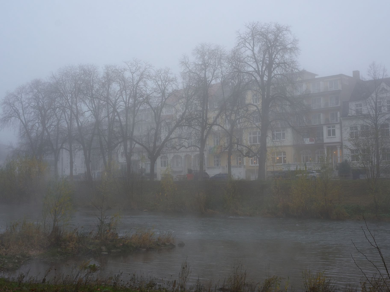 Der Nebel hält sich zäh am Wochenende (Archivbild) - Foto: Thomas Frey/dpa