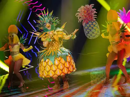 «Lady Ananas» ist bei «The Masked Singer» raus. (Archivbild) - Foto: Rolf Vennenbernd/dpa