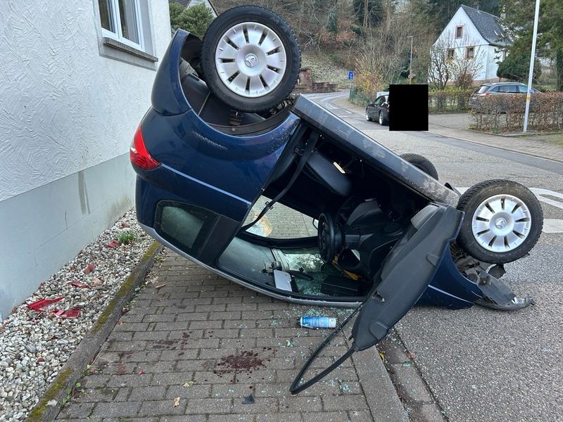 POL-PDLD: Annweiler - Auf dem Dach gelandet - Foto: presseportal.de