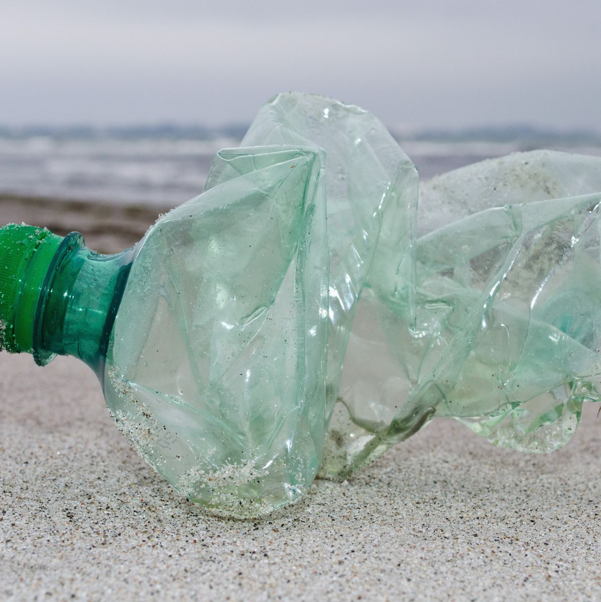 Angesichts von Klimawandel, Artensterben und Umweltproblemen weist ein Bericht der Vereinten Nationen auf Möglichkeiten der Veränderung sowie tiefe Ursachen von globalen Problemen hin. - Foto: Stefan Sauer/dpa-Zentralbild/dpa