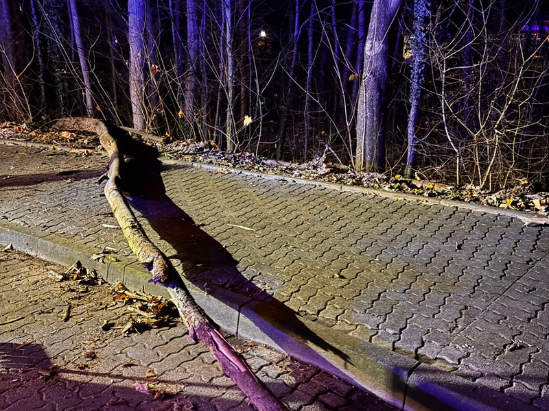 FW-Schermbeck: Umgestürzter Baum - Foto: presseportal.de
