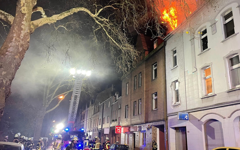 POL-OG: Kehl, Sundheim - Entführter Dackel - Foto: presseportal.de