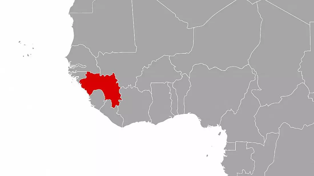 Guinea (Archiv) - Bild: über dts Nachrichtenagentur