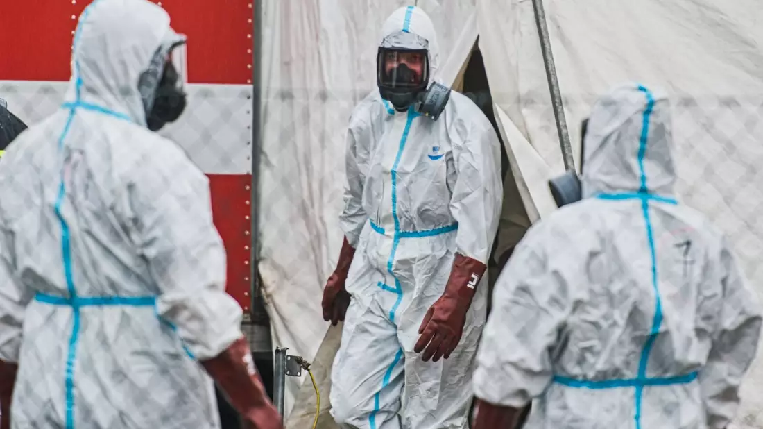Die Vogelgrippe H5N1 hat in den vergangenen Jahren einen beispiellosen Seuchenzug um die Welt absolviert. (Archivbild) - Bild: Uhlíø Patrik/CTK/dpa