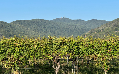 Dass Gipfelhöhen geändert werden müssen, ist tatsächlich selten - kommt aber vor. (Handout) - Foto: -/LVermGeo RP/dpa