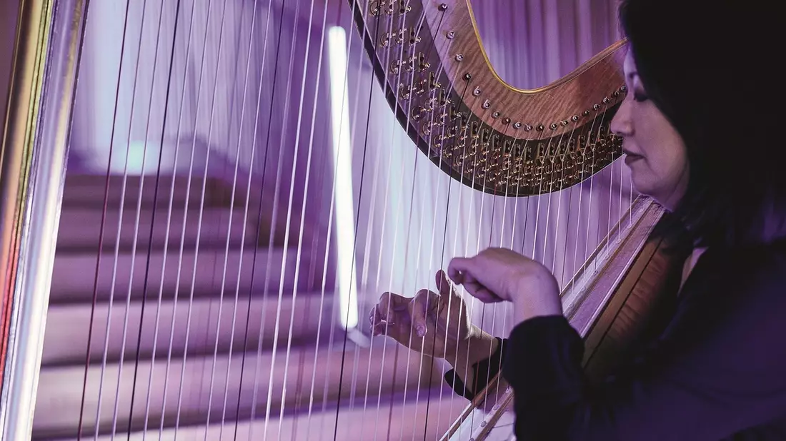 Orpheus und Eurydike? Nö! Orpheus und Elke! – WDR Funkhausorchester und Elke Heidenreich bei der lit.COLOGNE - Bild: presseportal.de