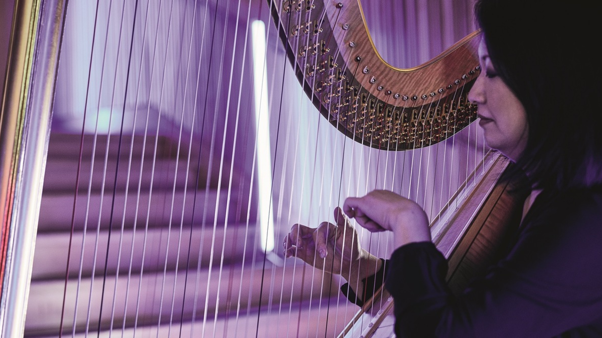 Orpheus und Eurydike? Nö! Orpheus und Elke! – WDR Funkhausorchester und Elke Heidenreich bei der lit.COLOGNE - Foto: presseportal.de