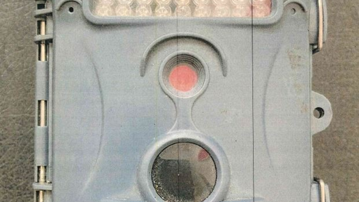 POL-UN: Kamen - Besitzer einer Wildkamera gesucht - Foto: presseportal.de