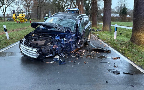 POL-OL: +++ Apen-Nordloh: Pkw prallt alleinbeteiligt gegen einen Baum +++ - Foto: presseportal.de