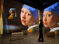 VERMEER - Der Meister des Lichts hautnah - Foto: presseportal.de