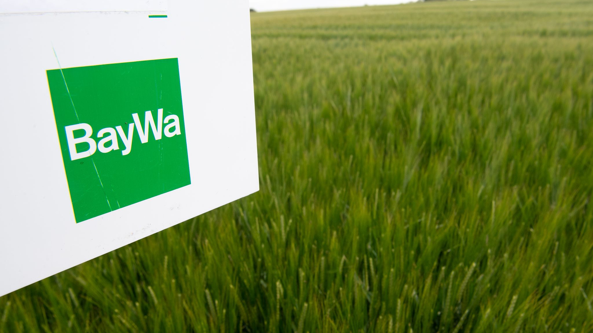 Die Baywa ist der größte deutsche Agrarhändler. Wegen Schulden in Milliardenhöhe steht dem Konzern eine jahrelange schmerzliche Sanierung bevor. (Archivbild) - Foto: Fabian Sommer/dpa