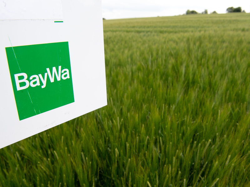 Die Baywa ist der größte deutsche Agrarhändler. Wegen Schulden in Milliardenhöhe steht dem Konzern eine jahrelange schmerzliche Sanierung bevor. (Archivbild) - Foto: Fabian Sommer/dpa