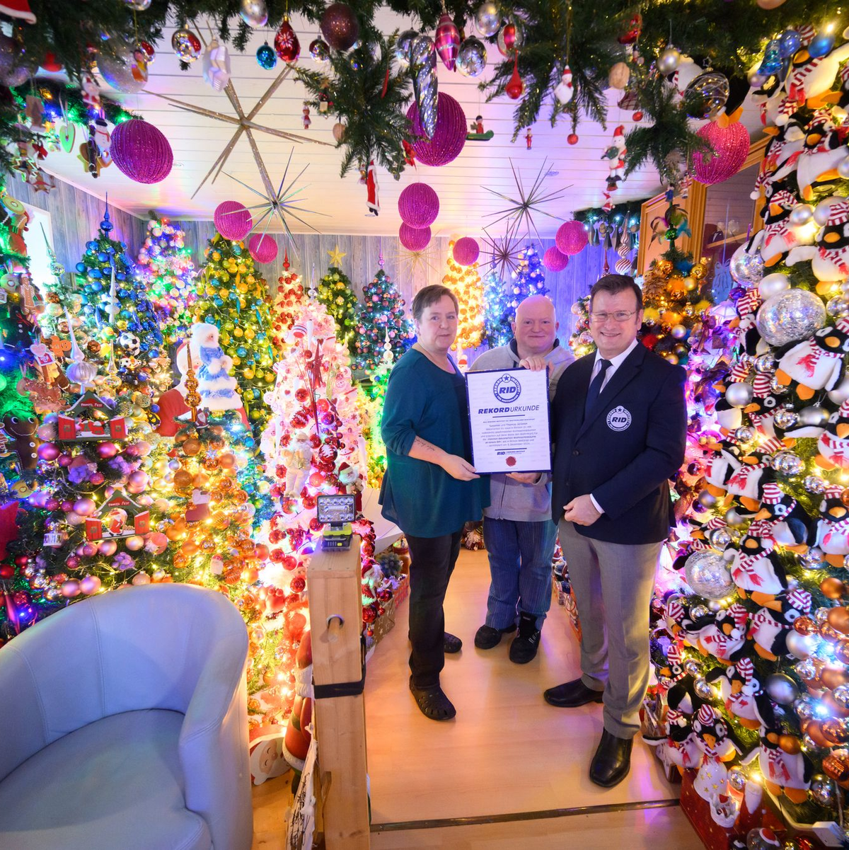 Hunderte Weihnachtsbäume finden in einem Haus in Niedersachsen Platz (Archivbild). - Foto: Julian Stratenschulte/dpa