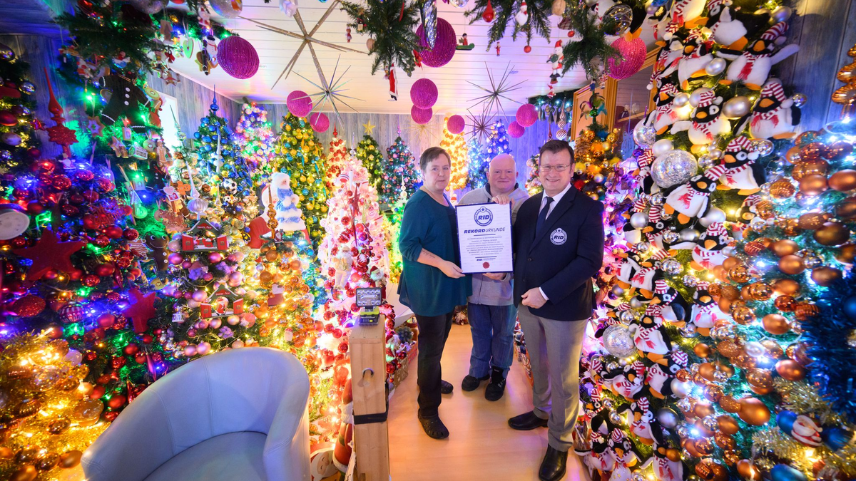 Weihnachtsbäume über Weihnachtsbäume schmücken ein Haus in Niedersachsen (Foto aktuell).  - Foto: Julian Stratenschulte/dpa