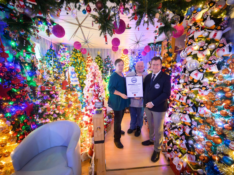 Weihnachtsbäume über Weihnachtsbäume schmücken ein Haus in Niedersachsen (Foto aktuell).  - Foto: Julian Stratenschulte/dpa