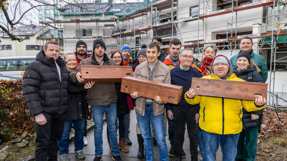 SWB - Nistkästen - Foto: Neumayr über pressetext.de