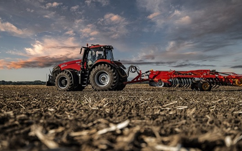  - Foto: Aneta Szalkowska