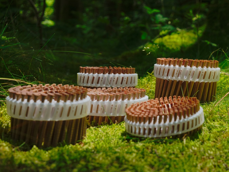 US-amerikanische IAPMO-Zulassung für LIGNOLOC® Holznägel von BECK - Foto: presseportal.de