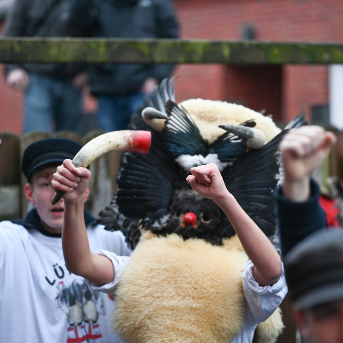 Die Klaasohms tragen traditionell Masken, Schafsfelle und Vogelfedern. - Foto: Lars Penning/dpa