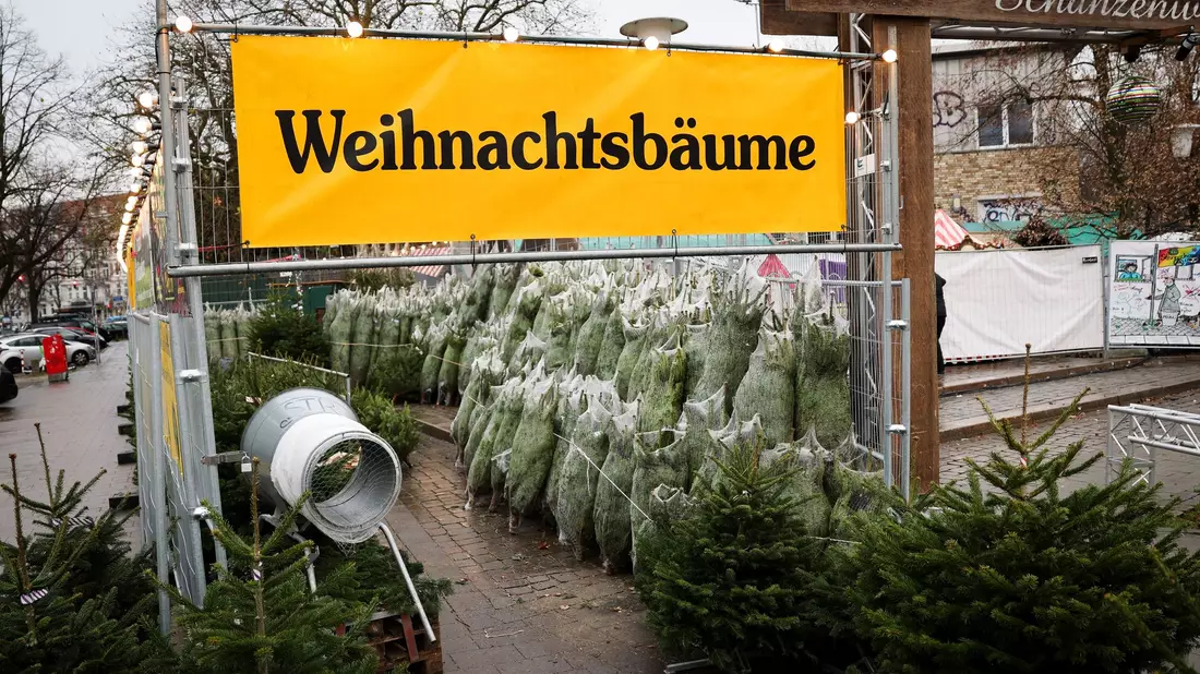 Weihnachtsbäume haben in Deutschland eigentlich immer Nadeln. (Archivbild) - Bild: Christian Charisius/dpa