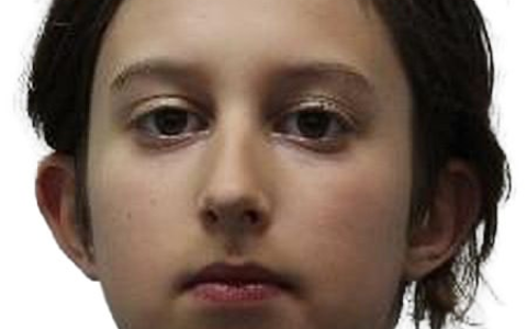 POL-HG: 12-Jähriger aus Kronberg vermisst - Foto: presseportal.de