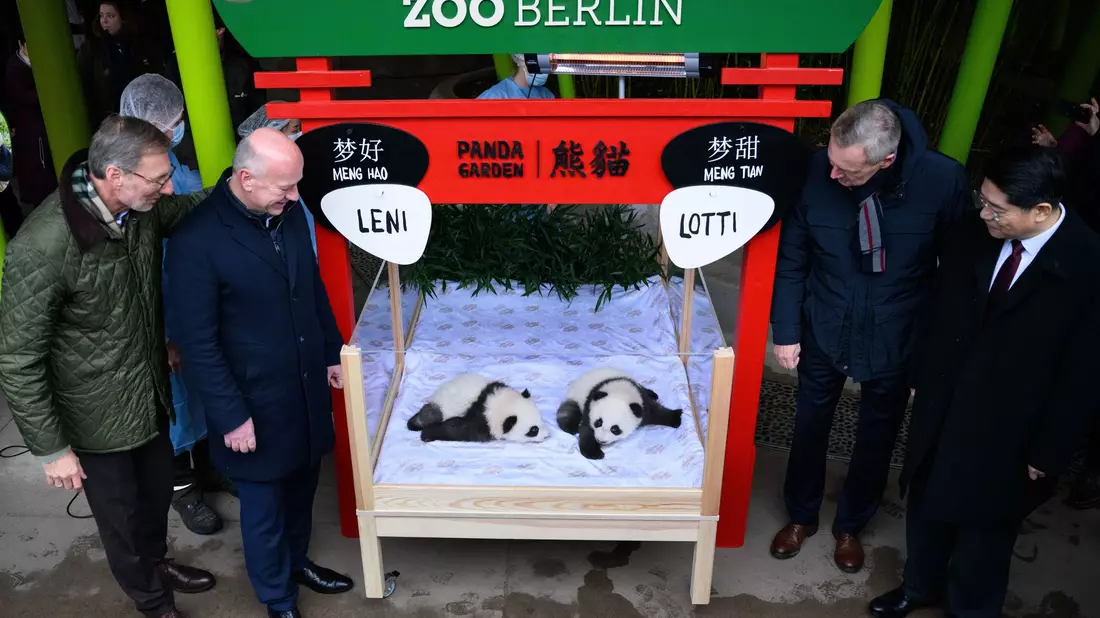 Die chinesischen Namen lauten Meng Hao und Meng Tian.  - Bild: Bernd von Jutrczenka/dpa