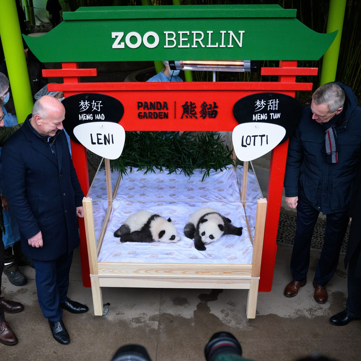Die chinesischen Namen lauten Meng Hao und Meng Tian.  - Foto: Bernd von Jutrczenka/dpa