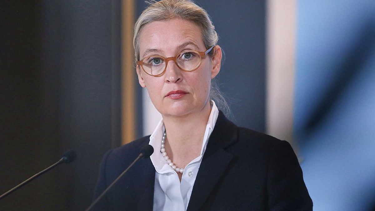 Alice Weidel (Archiv) - Foto: über dts Nachrichtenagentur