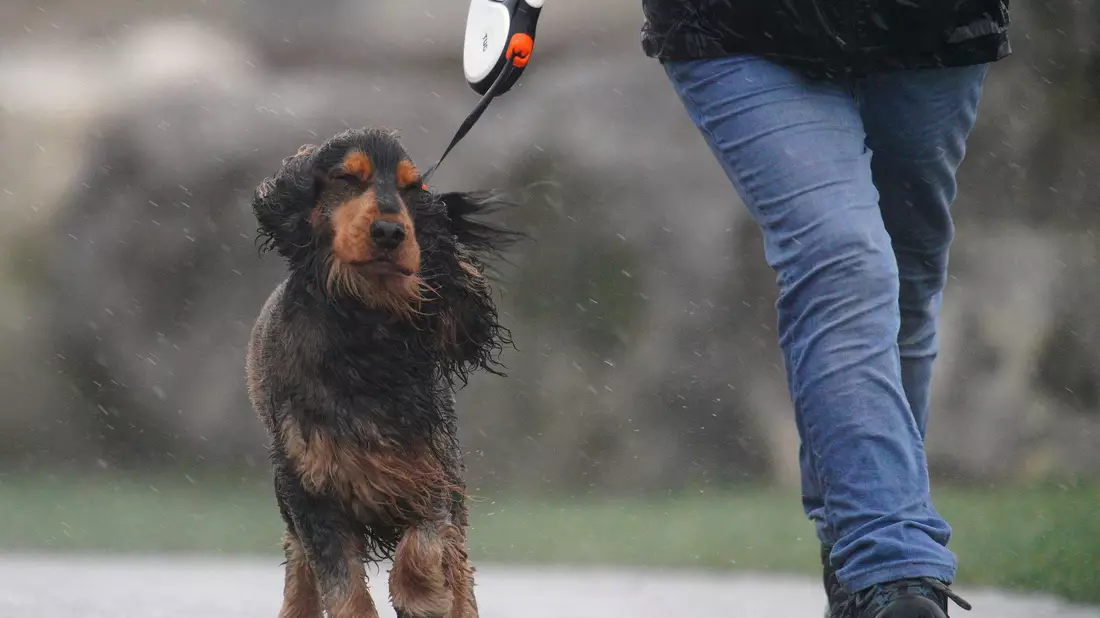 In Teilen von Wales galt die stärkste Wetterwarnung: «Lebensgefahr». - Bild: Ben Birchall/PA Wire/dpa