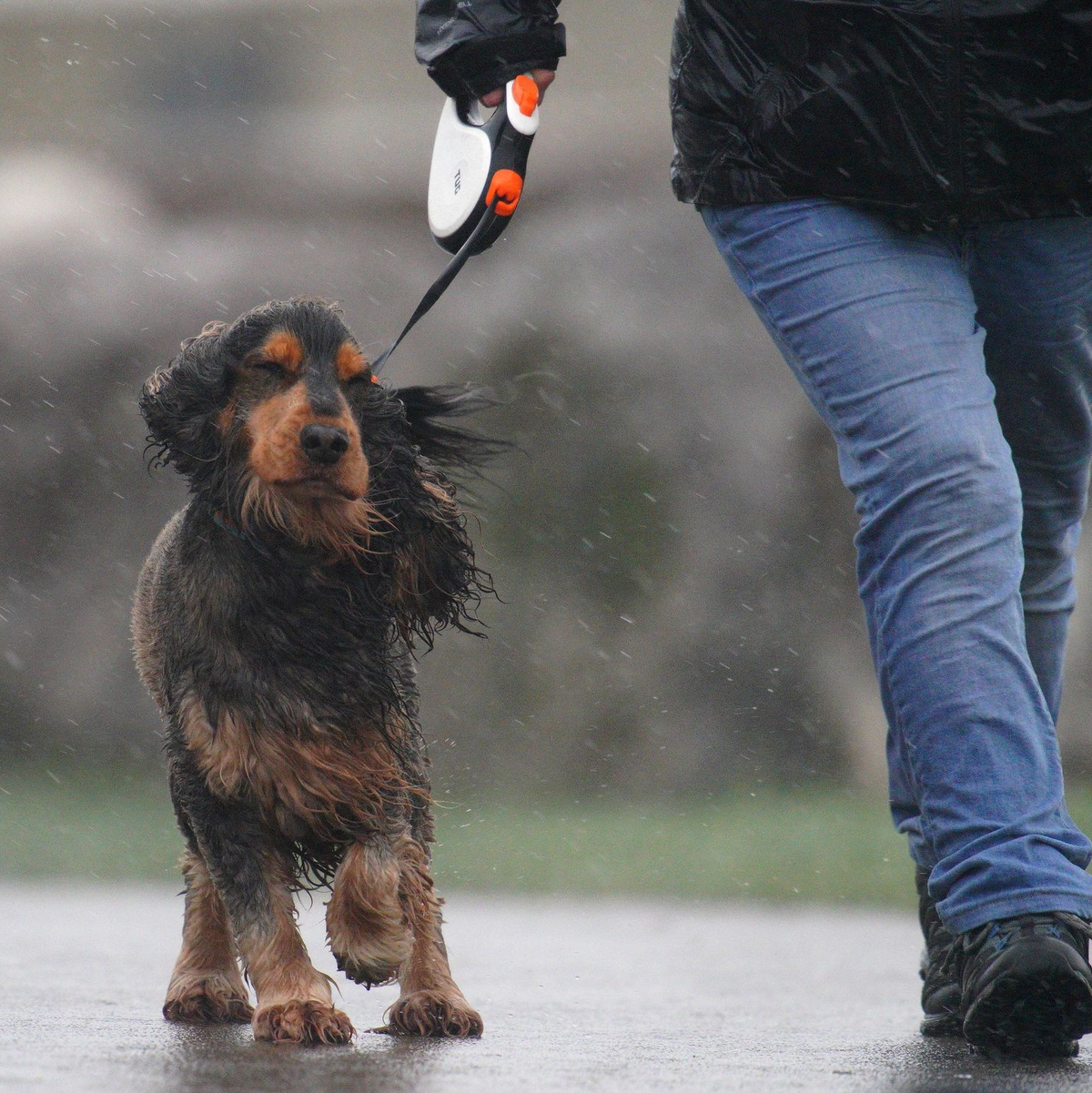 In Teilen von Wales galt die stärkste Wetterwarnung: «Lebensgefahr». - Foto: Ben Birchall/PA Wire/dpa