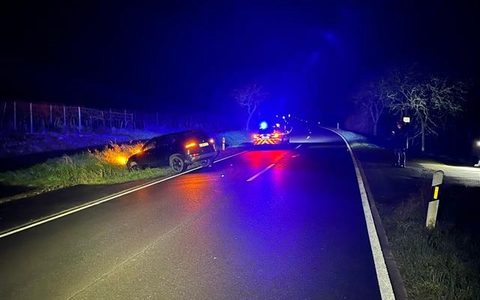 POL-PDLD: Verkehrsunfall unter Alkoholeinfluss/Birkweiler, L508/Sonntag, 08.12.2024, 01:51 Uhr - Foto: presseportal.de