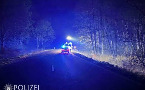 POL-PDPS: Unfall im Straßengraben fordert Verletzte - Foto: presseportal.de